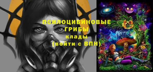 сатива Абаза