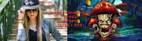 прущие грибы Алзамай
