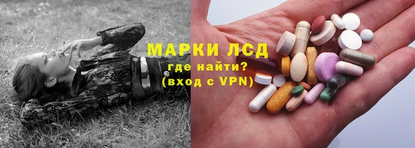 прущие грибы Алзамай